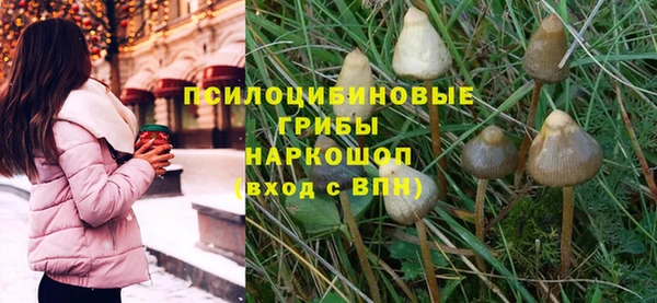 марки nbome Гусиноозёрск