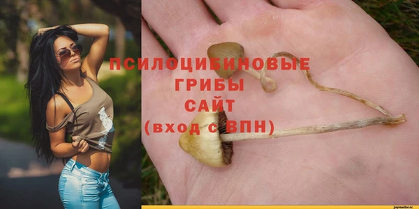 сатива Гусь-Хрустальный