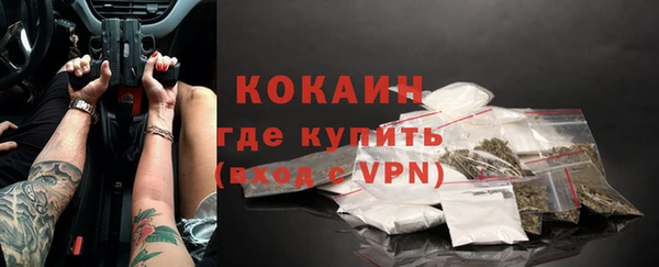 сатива Гусь-Хрустальный