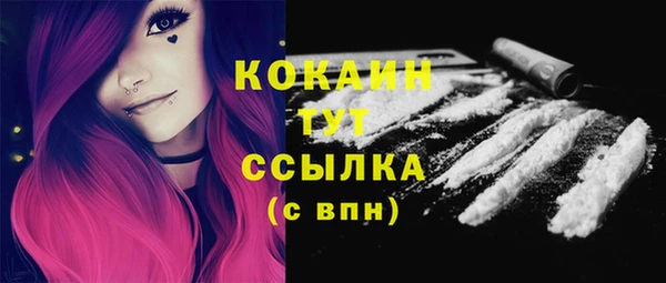 крисы Гусев