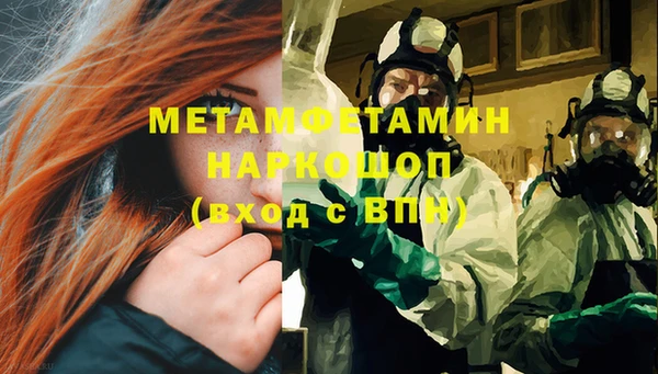 сатива Гусь-Хрустальный