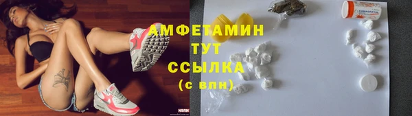 сатива Гусь-Хрустальный