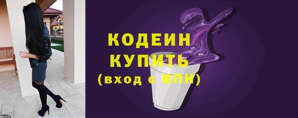 сатива Гусь-Хрустальный