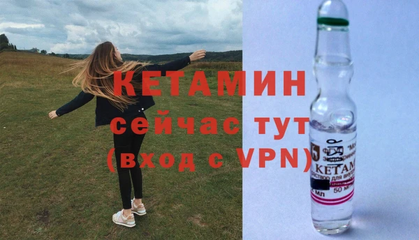 крисы Гусев