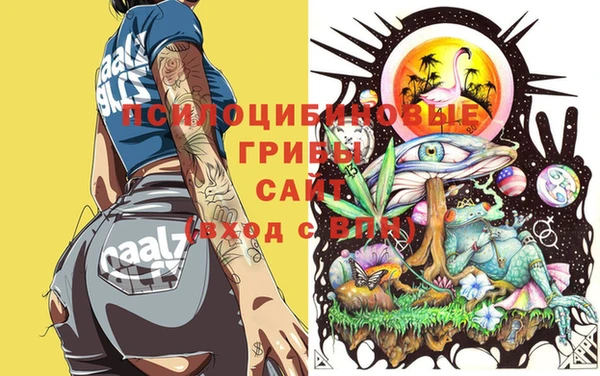 сатива Гусь-Хрустальный