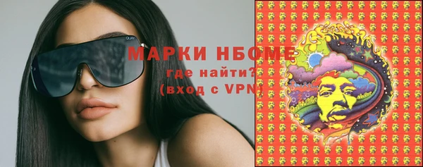сатива Гусь-Хрустальный