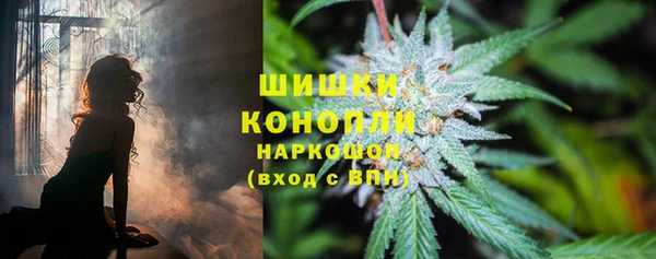 крисы Гусев