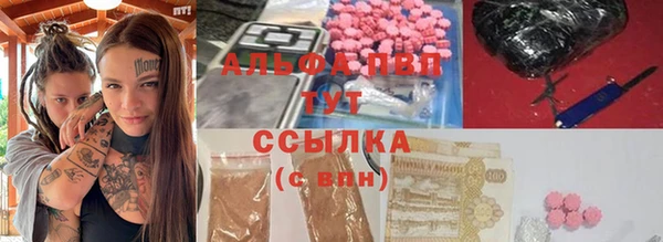 крисы Гусев