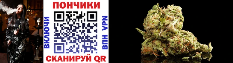 Купить  Миньяр  Конопля SATIVA & INDICA 